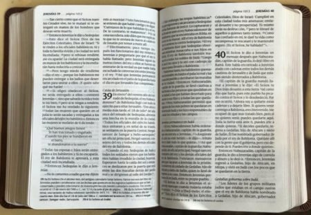 Biblia NTV Compacta letra grande abierta