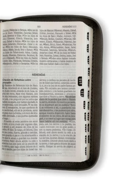 Biblia promesas tamaño manual gris abierta